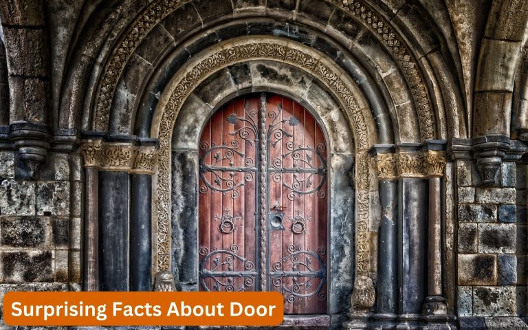 Surprising Facts About Doors You Never Knew